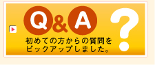 Q&A