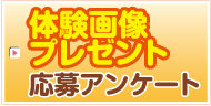 annke-to